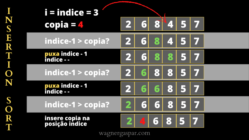 Como ordenar um vetor com o algoritmo INSERTION SORT